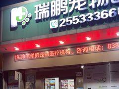 -瑞鹏宠物医院·微创内窥镜·骨外科·牙科(翠竹分院)
