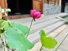 -锦溪古镇