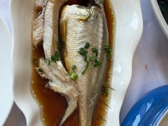-骏莱海鲜鱼港(五角场店)