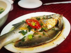 -蛇口康乐快餐鱼仔档(翠苑小区店)