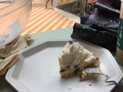 -有猫主题·治愈系猫咖(曾厝垵店)