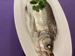 清蒸白水鱼-张福记(陇海中路店)