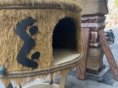 -野人部落(中街店)