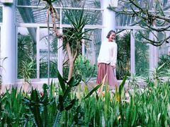 -深圳仙湖植物园-停车场