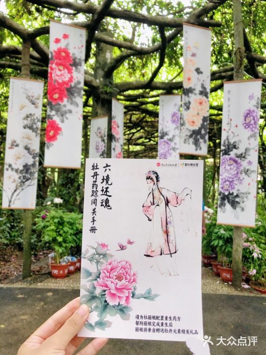 广西壮族自治区药用植物园图片