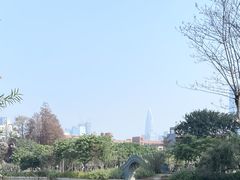-四海公园(南山区)
