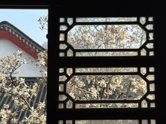 -堤角公园