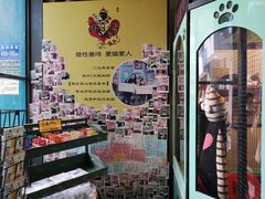 -猫咪博物馆(顶澳仔猫街店)