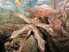 -重庆自然博物馆(新馆)