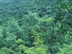 -郧西五龙河风景区