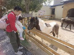 -HERRE·FARM 赫尔露营农场·团建聚会包场