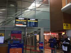 -谢列梅捷沃国际机场