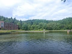 -武陵山森林公园