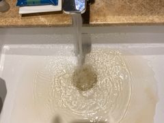 -青岛西海岸隆和福朋喜来登酒店