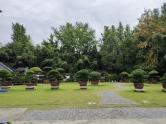 -水绘园