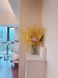 -哈颜科技轻美·