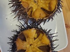 -海胆小馆(东北水饺·春柳店)