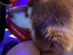 -来吧0519民谣酒吧