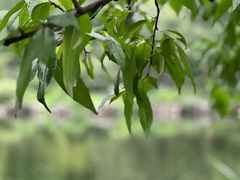 -杭州花家山庄