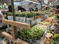 -鹿岛生活(熙地港店)