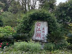 -广州白江湖森林公园