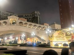 -澳门威尼斯人综合度假区