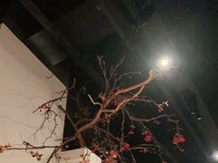 -春天来了(印象新天地店)