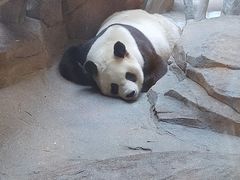 -宁波野生动物园