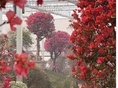 -沂蒙云瀑洞天景区