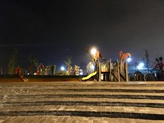 -枫香湖儿童公园