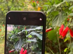 -福建鲤鱼洲酒店