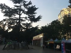 -昆明动物园