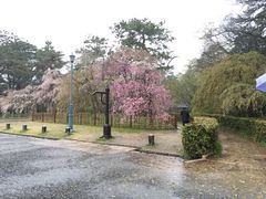 -京都御所
