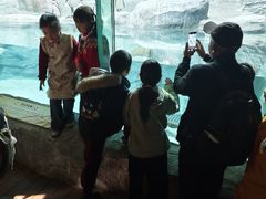 -合肥野生动物园