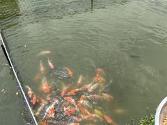 -溪悦渔庄(九龙湖店)