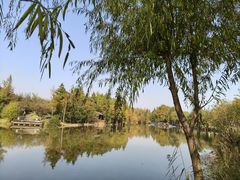 -上海长兴岛郊野公园