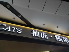 -袖虎·猫馆(体育西路店)