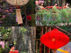 -正佳雨林生态植物园