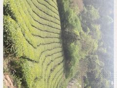 -敬亭山风景名胜区