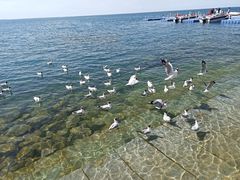 -青海湖国家重点风景名胜区