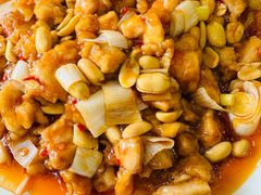 -杏园餐厅(西四北大街店)