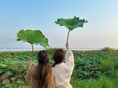 -七的湖·晚芳亭·阳澄湖农家菜·大闸蟹(莲花岛店)