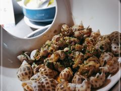 -张家卫·阳江菜·小海鲜(肥婆湾桥店)