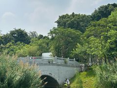 -王借岗森林公园