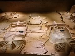 -洛阳周王城天子驾六博物馆