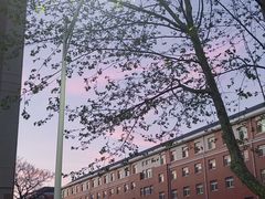 -大连理工大学(凌水校区)