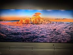 -罗红摄影艺术馆