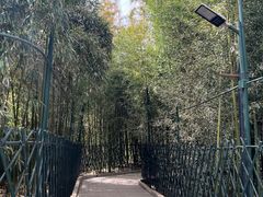 -红螺寺