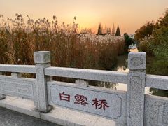 -沙家浜风景区