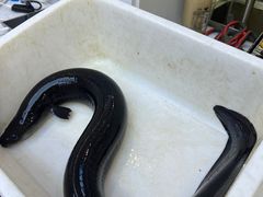 -本达人海鲜烧烤·朝鲜族风味(发展店)